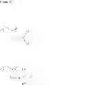 Fig. 17 - Anion exchange membrane and method for producing same