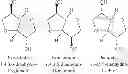 Fig. 02 - Dental compositions based on polymerizable resins containing isosorbide