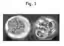 Fig. 02 - BLOW MOLDING POLYSTYRENE NANOCOMPOSITES