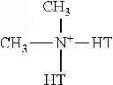 Fig. 06 - BLOW MOLDING POLYSTYRENE NANOCOMPOSITES