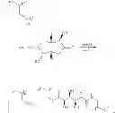 Fig. 14 - ANTIMICROBIAL CROSSLINKED POLYMERS CONTAINING BIOMASS DERIVED MATERIALS