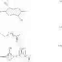 Fig. 22 - ANTIMICROBIAL CROSSLINKED POLYMERS CONTAINING BIOMASS DERIVED MATERIALS