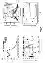 Fig. 07 - Fluorescent potassium ion sensors