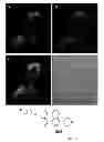 Fig. 13 - Fluorescent potassium ion sensors
