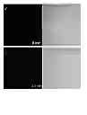 Fig. 15 - Fluorescent potassium ion sensors