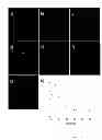 Fig. 16 - Fluorescent potassium ion sensors