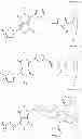Fig. 22 - PROCESSES FOR PREPARING DIKETOPYRROLOPYRROLE COPOLYMERS