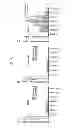 Fig. 07 - LOW DOSE METHODS FOR TREATING DISORDERS IN WHICH TNF-ALPHA ACTIVITY IS DETRIMENTAL
