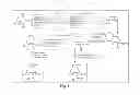 Fig. 06 - Saccharide structures and methods of making and using such structures
