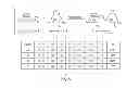 Fig. 08 - Saccharide structures and methods of making and using such structures