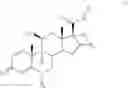 Fig. 19 - Method for the Production of Fluoromethyl Esters of Androstan-17 beta Carboxylic Acids
