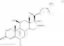 Fig. 20 - Method for the Production of Fluoromethyl Esters of Androstan-17 beta Carboxylic Acids