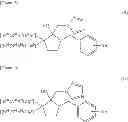 Fig. 06 - Azole derivatives, methods for producing the same, intermediate thereof, agro-horticultural agents