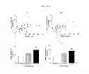 Fig. 02 - Method to select animals with a high capacity of embryo production
