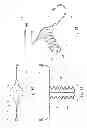 Fig. 07 - In-dwelling port for access into a body