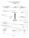 Fig. 20 - Systems approach to comorbidity assessment