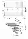 Fig. 19 - Catheter systems and related methods for mapping, minimizing, and treating cardiac fibrillation