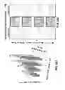 Fig. 20 - Catheter systems and related methods for mapping, minimizing, and treating cardiac fibrillation