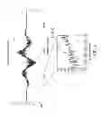 Fig. 06 - Systems and methods for inverted beamforming