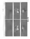 Fig. 07 - Composite singularity mapping