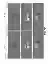 Fig. 09 - Composite singularity mapping