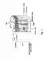 Fig. 05 - SYRINGE