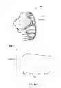 Fig. 02 - BIOSYNCHRONOUS TRANSDERMAL DRUG DELIVERY