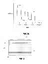 Fig. 03 - BIOSYNCHRONOUS TRANSDERMAL DRUG DELIVERY