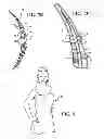 Fig. 07 - POST-NIPPLE RECONSTRUCTION PROTECTOR
