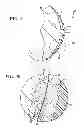Fig. 08 - POST-NIPPLE RECONSTRUCTION PROTECTOR