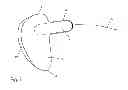 Fig. 05 - SANITARY PRODUCT
