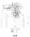 Fig. 22 - Two-piece transseptal cannula, delivery system, and method of delivery