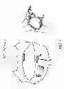 Fig. 05 - METHODS AND DEVICES FOR THE TREATMENT OF ATRIAL FIBRILLATION