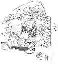Fig. 06 - METHODS AND DEVICES FOR THE TREATMENT OF ATRIAL FIBRILLATION