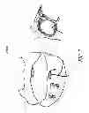 Fig. 09 - METHODS AND DEVICES FOR THE TREATMENT OF ATRIAL FIBRILLATION