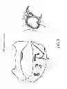 Fig. 11 - METHODS AND DEVICES FOR THE TREATMENT OF ATRIAL FIBRILLATION