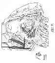 Fig. 12 - METHODS AND DEVICES FOR THE TREATMENT OF ATRIAL FIBRILLATION