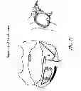 Fig. 23 - METHODS AND DEVICES FOR THE TREATMENT OF ATRIAL FIBRILLATION
