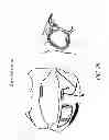 Fig. 29 - METHODS AND DEVICES FOR THE TREATMENT OF ATRIAL FIBRILLATION
