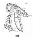 Fig. 06 - Limited-use medical device