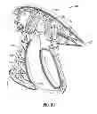 Fig. 07 - Limited-use medical device