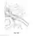 Fig. 22 - NEUROSTIMULATION SYSTEM