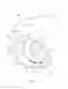 Fig. 02 - Cable conductor fitting