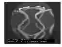 Fig. 01 - Microstructured absorbable implant