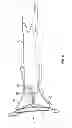 Fig. 08 - Retaining mechanism, implant, and tool