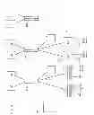 Fig. 05 - Process and system for managing a bowling centre