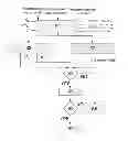 Fig. 01 - Method of distance protection of parallel transmission line