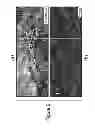 Fig. 09 - DIP TOMOGRAPHY FOR ESTIMATING DEPTH VELOCITY MODELS BY INVERTING PRE-STACK DIP INFORMATION PRESENT IN MIGRATED/UN-MIGRATED PRE-/POST-STACK SEISMIC DATA