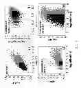 Fig. 09 - K-PARTITE GRAPH BASED FORMALISM FOR CHARACTERIZATION OF COMPLEX PHENOTYPES IN CLINICAL DATA ANALYSES AND DISEASE OUTCOME PROGNOSIS
