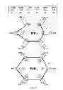 Fig. 28 - K-PARTITE GRAPH BASED FORMALISM FOR CHARACTERIZATION OF COMPLEX PHENOTYPES IN CLINICAL DATA ANALYSES AND DISEASE OUTCOME PROGNOSIS